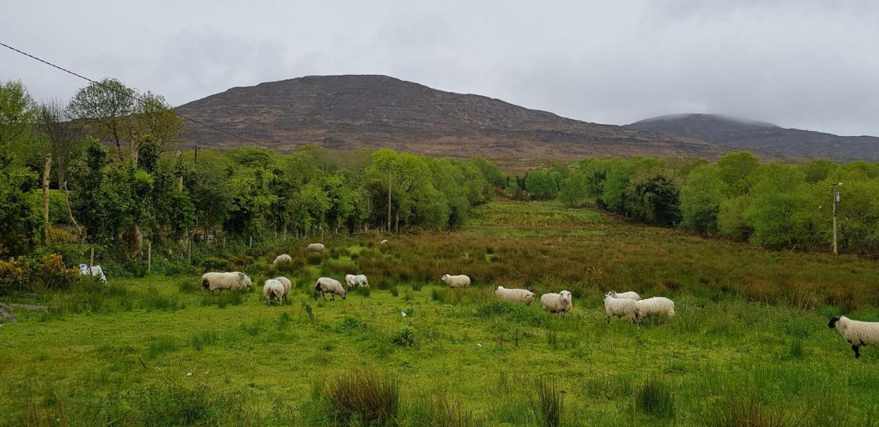 Mountain View Bed & Breakfast, Kenmare, Co. Kerry, Ireland Luaran gambar